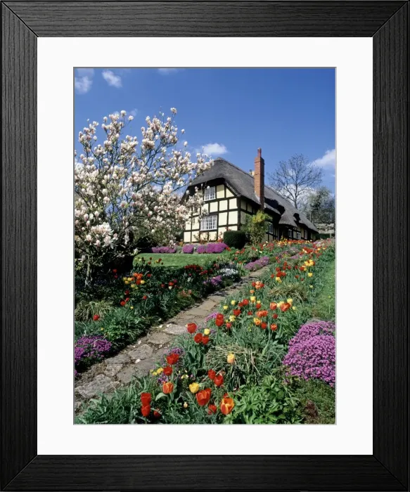 Framed Print : Picture No. 10900547 Framed Print : Picture No. 10900547