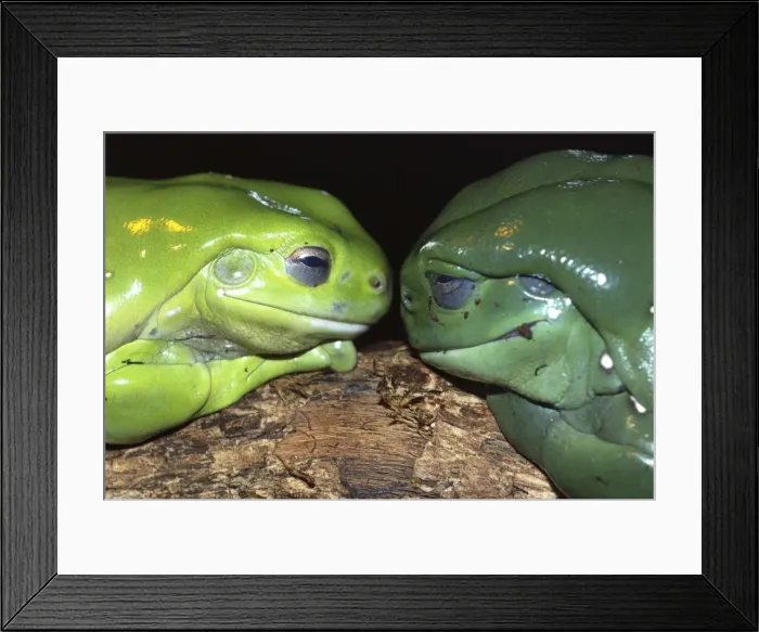 Framed Print : Picture No. 10922166 Framed Print : Picture No. 10922166