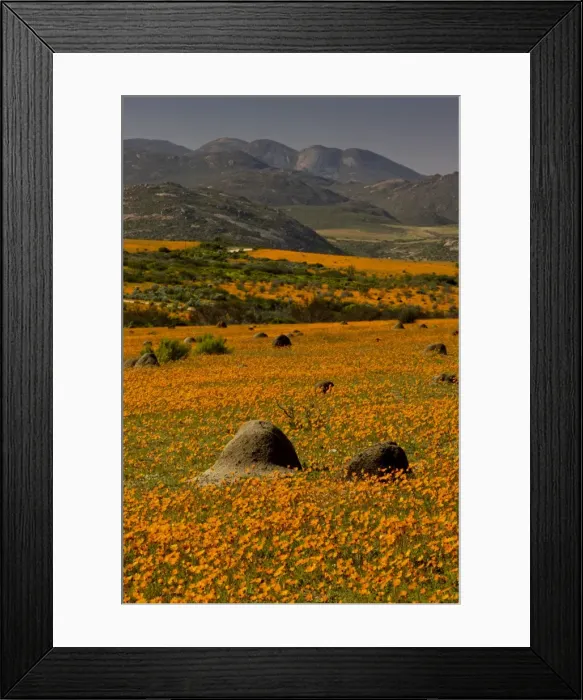 Framed Print : Picture No. 10922176 Framed Print : Picture No. 10922176