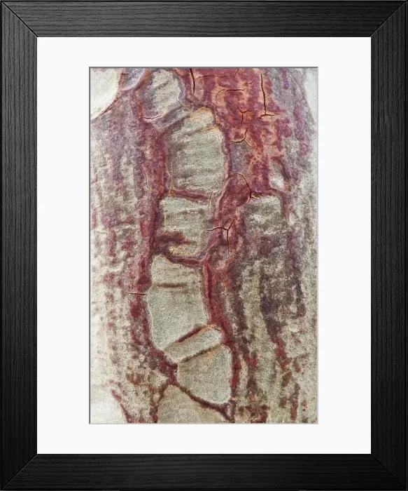 Framed Print : Picture No. 10900936 Framed Print : Picture No. 10900936
