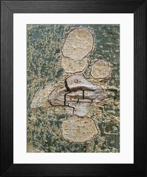 Framed Print : Picture No. 10900937 Framed Print : Picture No. 10900937