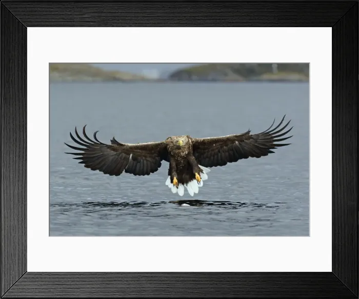 Framed Print : Picture No. 10901171 Framed Print : Picture No. 10901171