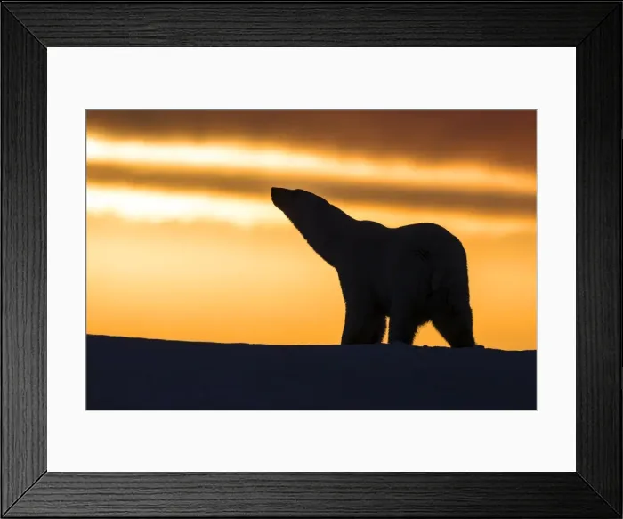 Framed Print : Picture No. 10901650 Framed Print : Picture No. 10901650