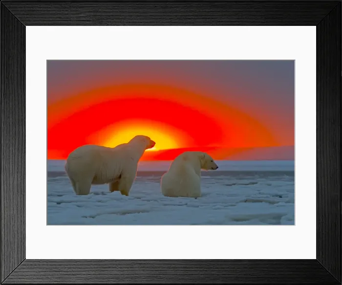 Framed Print : Picture No. 10901661 Framed Print : Picture No. 10901661