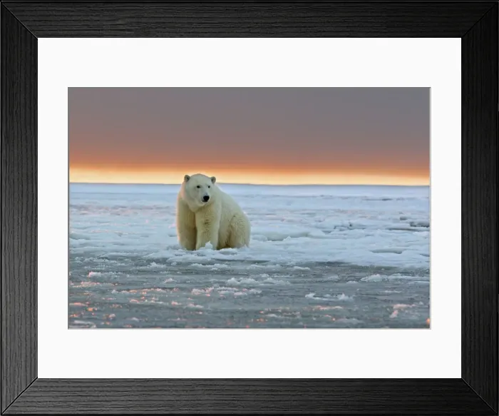 Framed Print : Picture No. 10901707 Framed Print : Picture No. 10901707