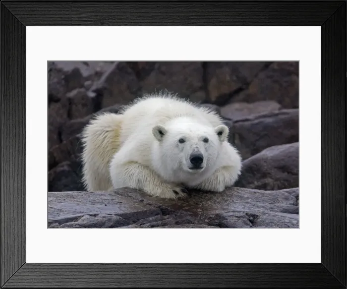 Framed Print : Picture No. 10901816 Framed Print : Picture No. 10901816