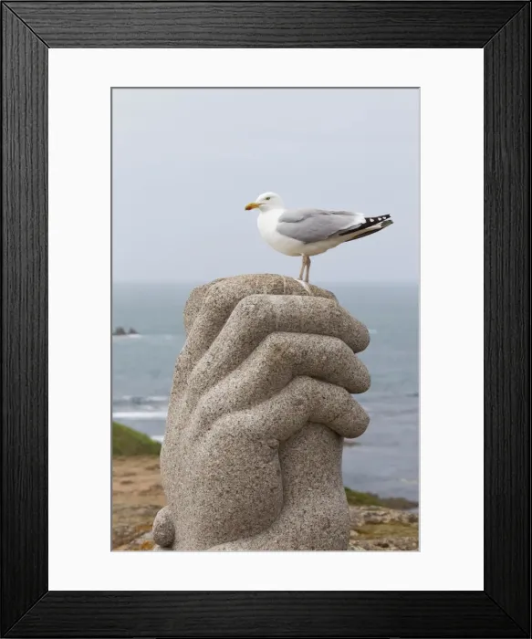 Framed Print : Picture No. 10899817 Framed Print : Picture No. 10899817