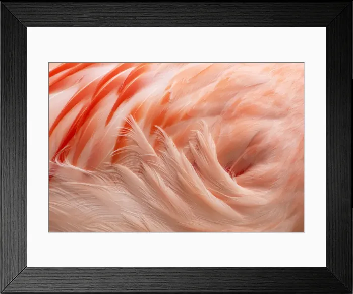 Framed Print : Picture No. 10899828 Framed Print : Picture No. 10899828