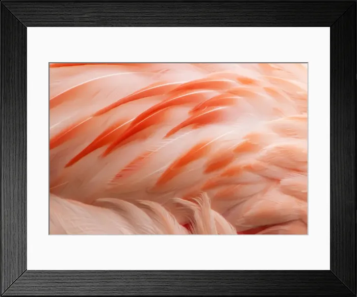Framed Print : Picture No. 10899829 Framed Print : Picture No. 10899829