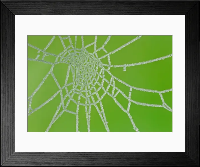 Framed Print : Picture No. 10899848 Framed Print : Picture No. 10899848