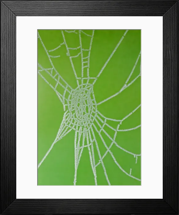 Framed Print : Picture No. 10899849 Framed Print : Picture No. 10899849
