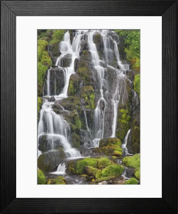 Framed Print : Picture No. 10899874 Framed Print : Picture No. 10899874