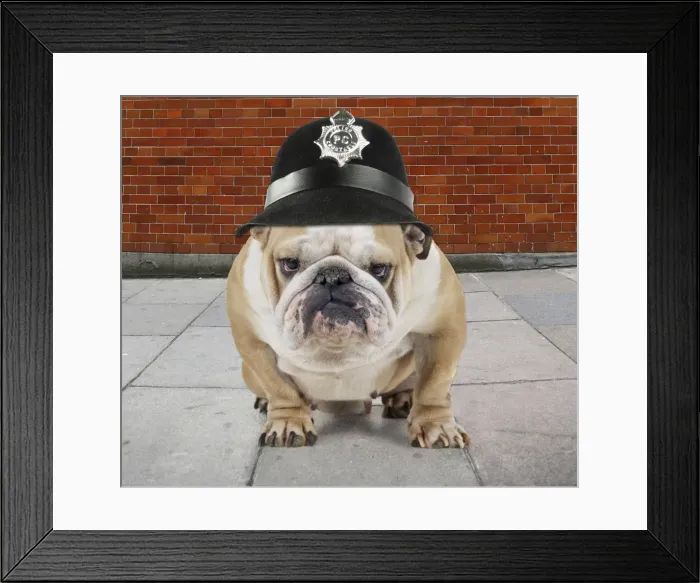 Framed Print : Picture No. 10899342 Framed Print : Picture No. 10899342