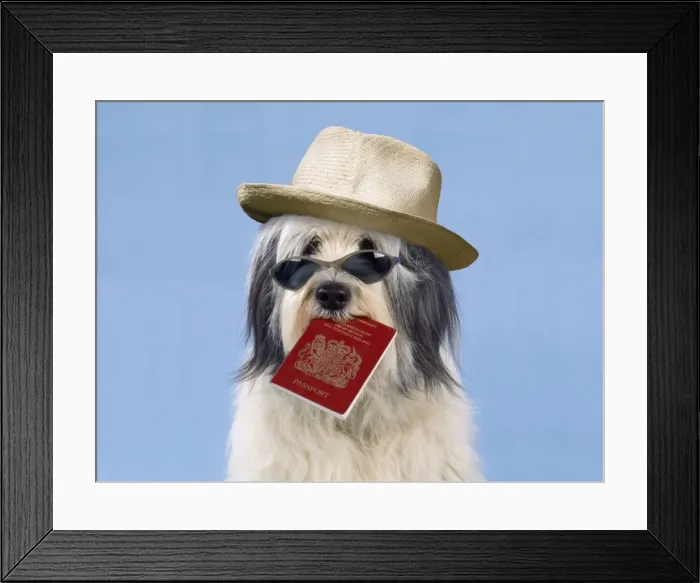 Framed Print : Picture No. 10899349 Framed Print : Picture No. 10899349
