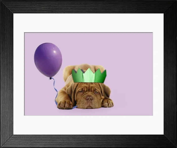 Framed Print : Picture No. 10899347 Framed Print : Picture No. 10899347