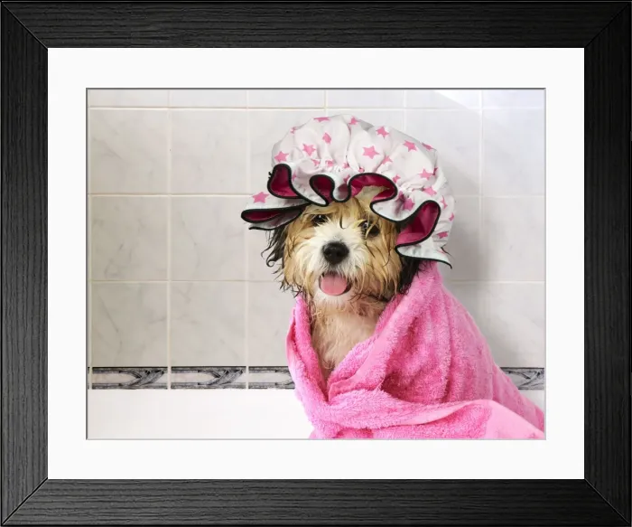 Framed Print : Picture No. 10899346 Framed Print : Picture No. 10899346