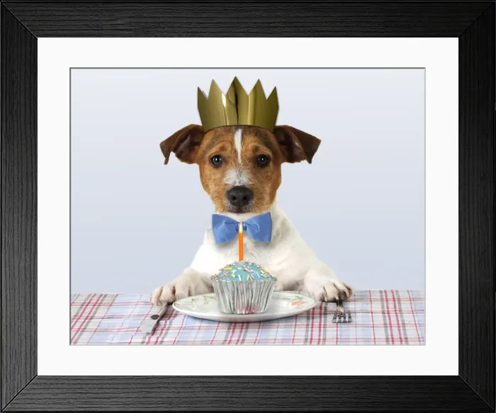 Framed Print : Picture No. 10899345 Framed Print : Picture No. 10899345