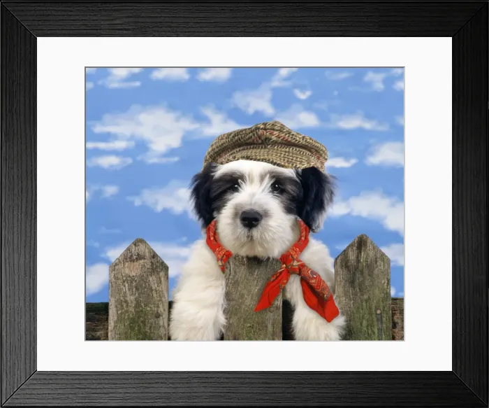 Framed Print : Picture No. 10899344 Framed Print : Picture No. 10899344