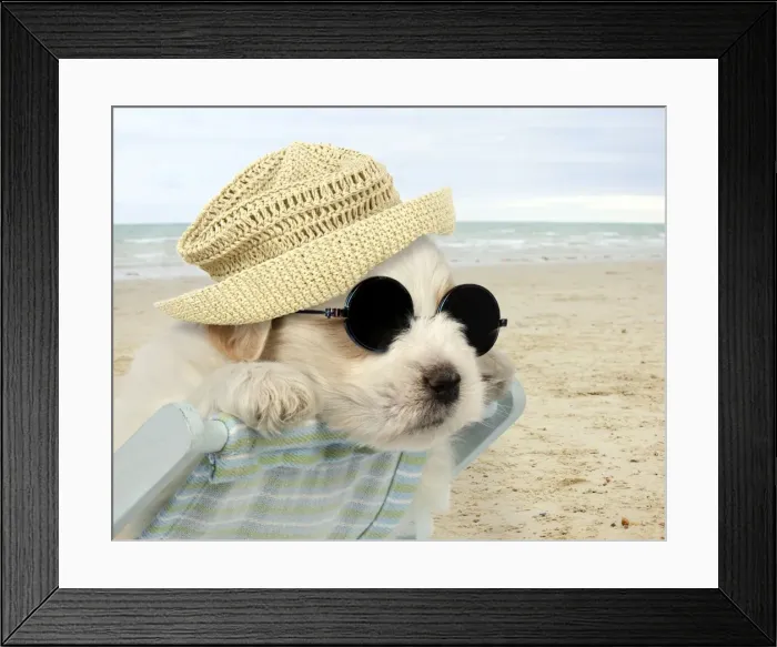 Framed Print : Picture No. 10899351 Framed Print : Picture No. 10899351