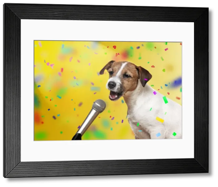 Framed Print : Picture No. 10899322
