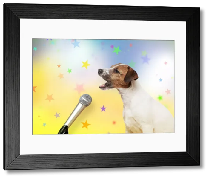 Framed Print : Picture No. 10899323 Framed Print : Picture No. 10899323