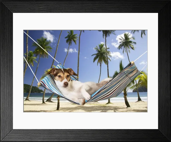 Framed Print : Picture No. 10899343 Framed Print : Picture No. 10899343