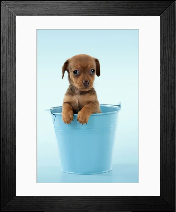 Framed Print : Picture No. 10899325 Framed Print : Picture No. 10899325