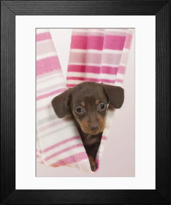 Framed Print : Picture No. 10899326 Framed Print : Picture No. 10899326