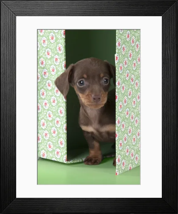 Framed Print : Picture No. 10899329 Framed Print : Picture No. 10899329