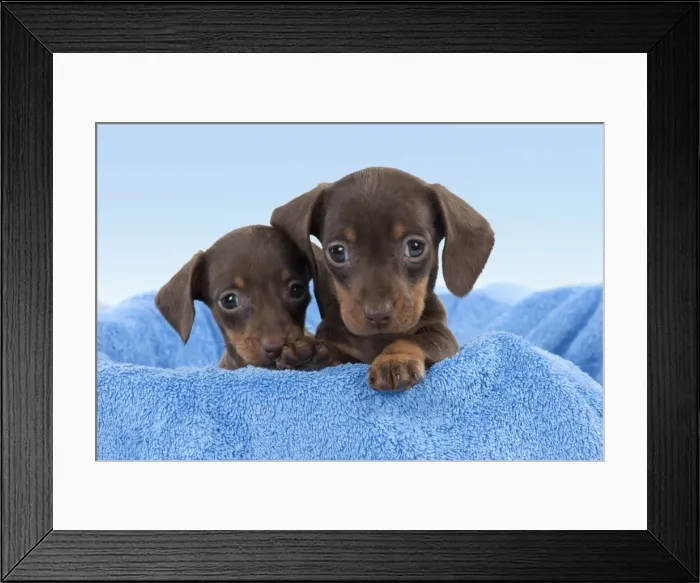 Framed Print : Picture No. 10899330 Framed Print : Picture No. 10899330