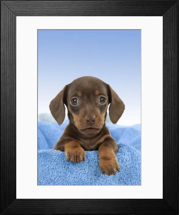 Framed Print : Picture No. 10899331 Framed Print : Picture No. 10899331