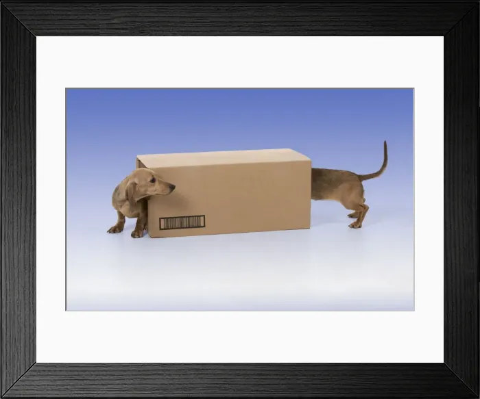 Framed Print : Picture No. 10899332