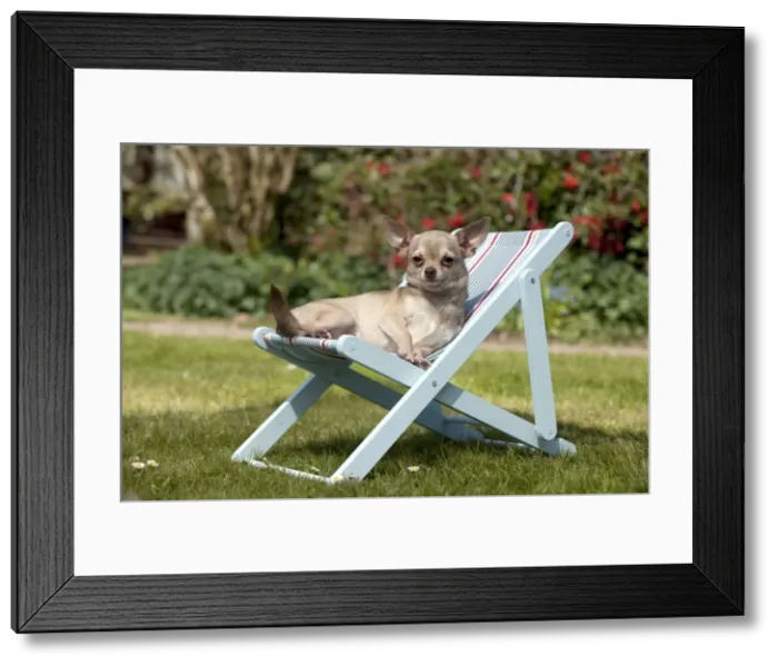 Framed Print : Picture No. 10899942 Framed Print : Picture No. 10899942