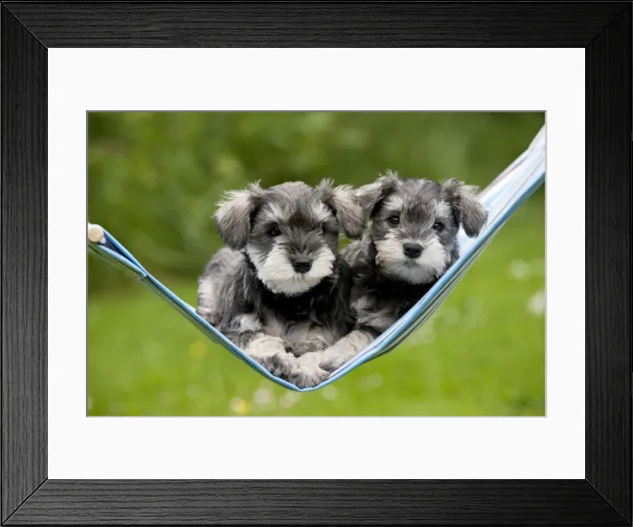 Framed Print : Picture No. 10899966 Framed Print : Picture No. 10899966