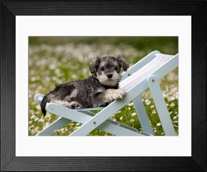 Framed Print : Picture No. 10899967 Framed Print : Picture No. 10899967