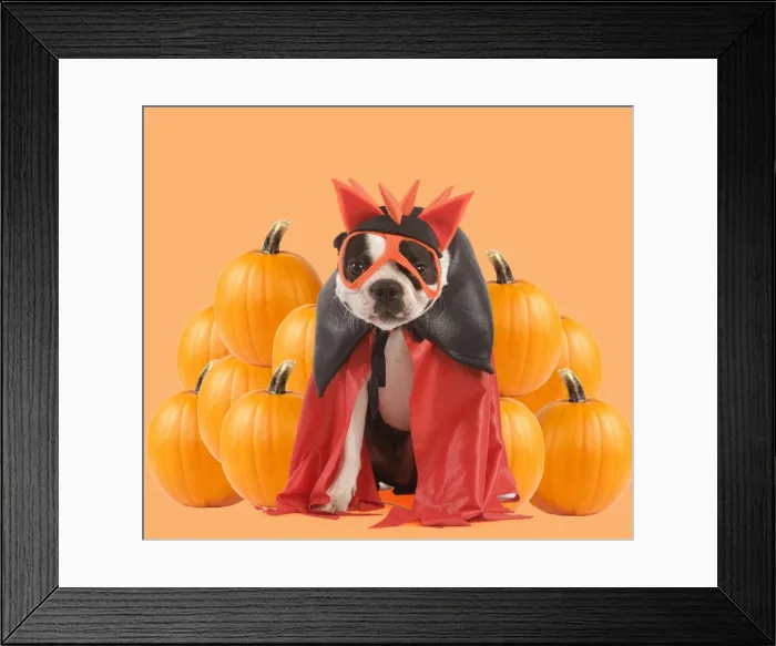 Framed Print : Picture No. 10899340 Framed Print : Picture No. 10899340