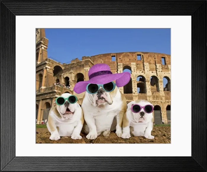 Framed Print : Picture No. 10899339 Framed Print : Picture No. 10899339