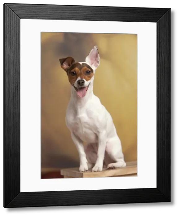 Framed Print : Picture No. 10898296