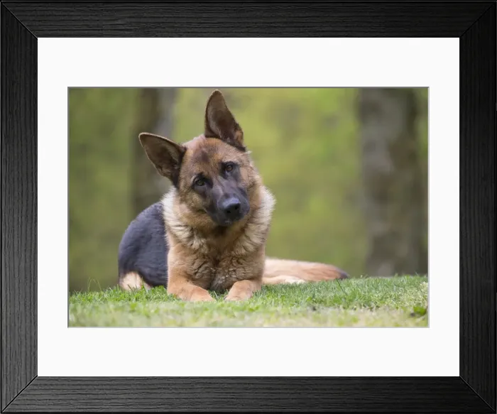 Framed Print : Picture No. 10898387 Framed Print : Picture No. 10898387
