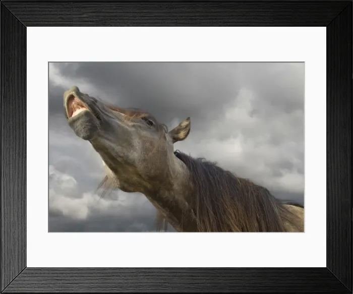 Framed Print : Picture No. 10898641 Framed Print : Picture No. 10898641
