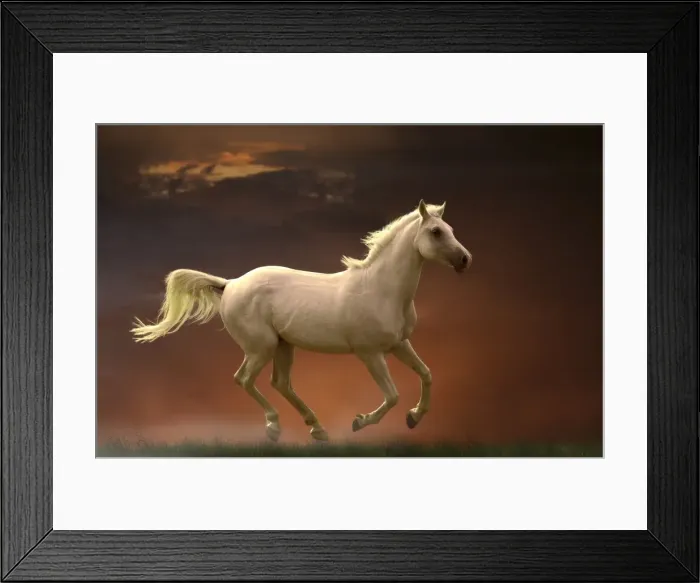 Framed Print : Picture No. 10898679 Framed Print : Picture No. 10898679