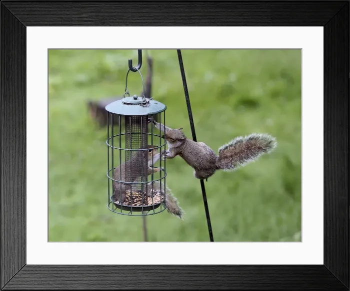 Framed Print : Picture No. 10898918 Framed Print : Picture No. 10898918