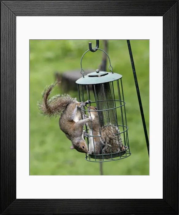 Framed Print : Picture No. 10898923 Framed Print : Picture No. 10898923