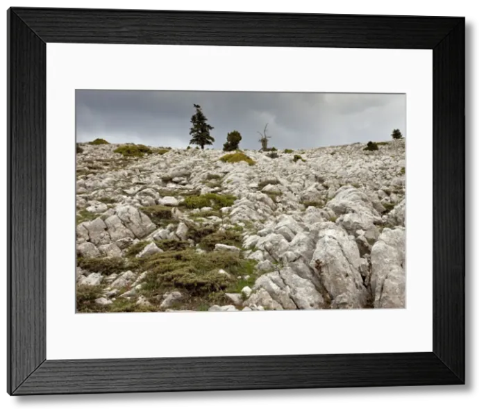 Framed Print : Picture No. 10899486 Framed Print : Picture No. 10899486