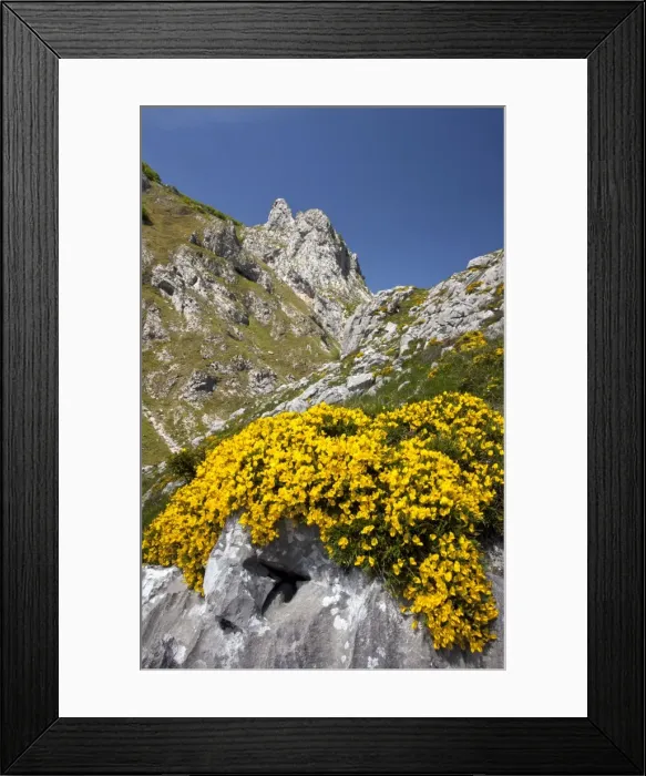 Framed Print : Picture No. 10899518 Framed Print : Picture No. 10899518