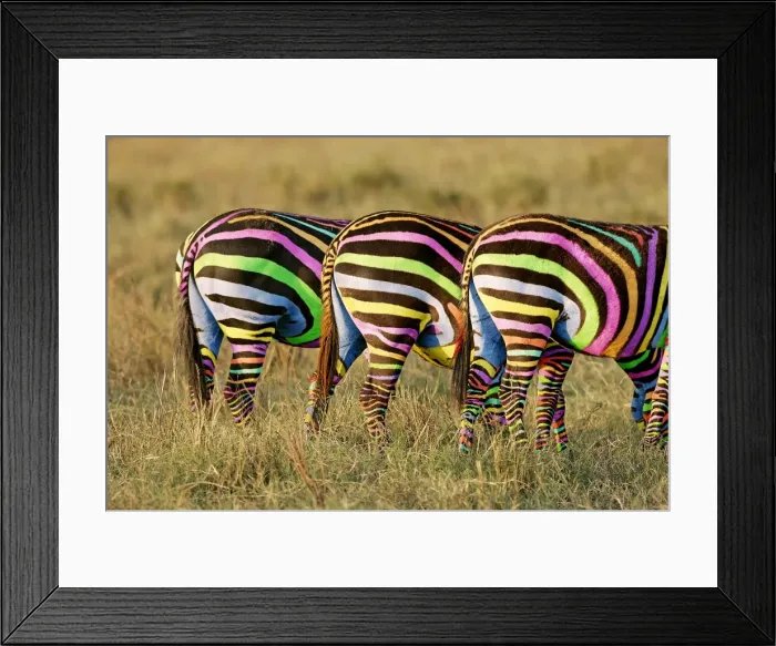 Framed Print : Picture No. 10899909 Framed Print : Picture No. 10899909