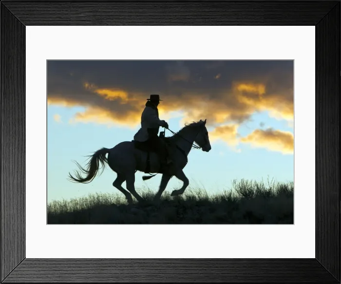 Framed Print : Picture No. 10898566 Framed Print : Picture No. 10898566