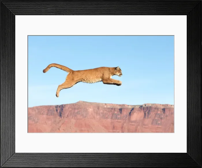Framed Print : Picture No. 10899022 Framed Print : Picture No. 10899022