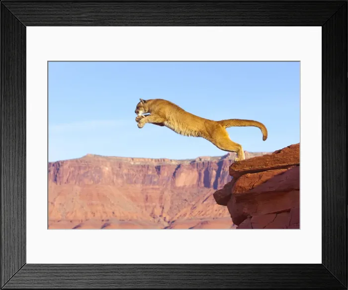 Framed Print : Picture No. 10899023 Framed Print : Picture No. 10899023