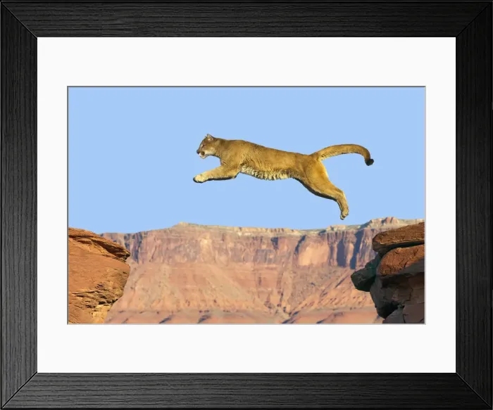 Framed Print : Picture No. 10899024 Framed Print : Picture No. 10899024